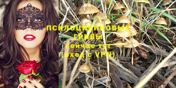 крисы Алзамай