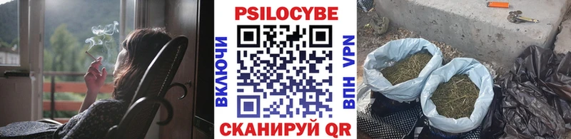 omg маркетплейс наркотики Похвистнево Псилоцибиновые грибы мицелий